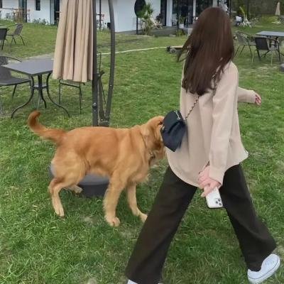 怪兽与葛林戴华德的罪行